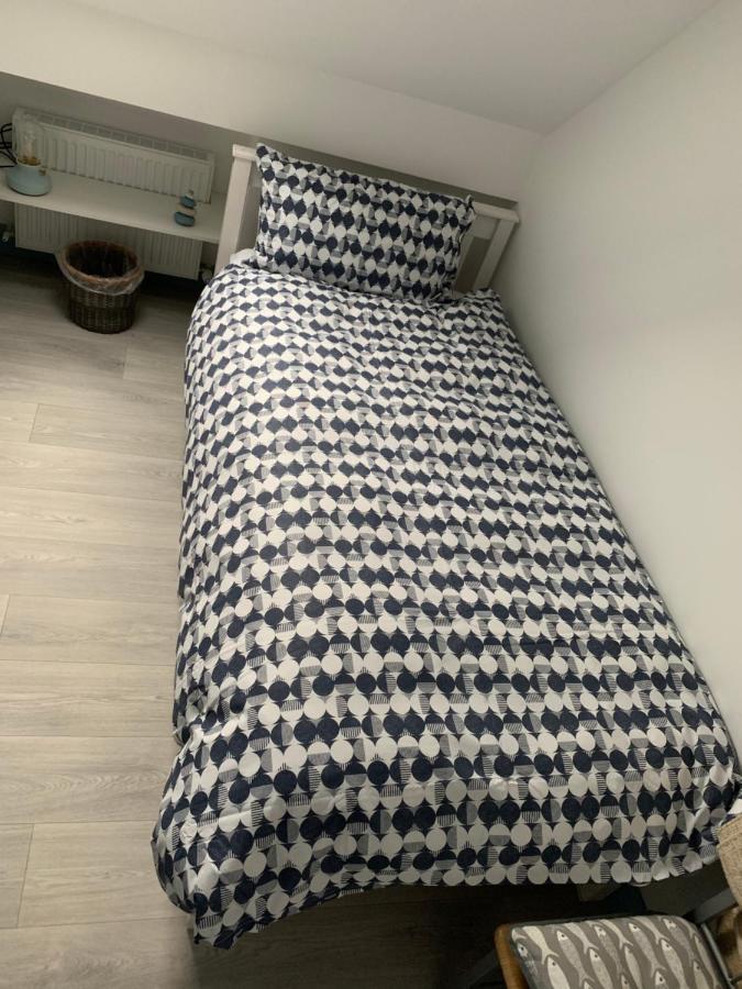 דאונינגס Blue Pearl Apartment מראה חיצוני תמונה